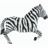 Zebra <br> 43”/109cm Wide